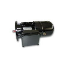 HEW磁阻電動機F 熱 緣系統