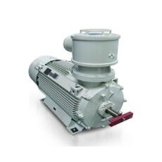 NIDEC CHINA防爆電機(jī)