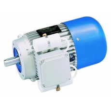 Carpanelli單相制動電機