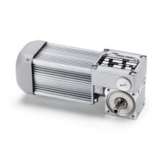 mini motor 無端螺旋齒輪馬達
