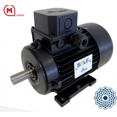 意大利MOTOVARIO電機M系列-自啟動同步電機