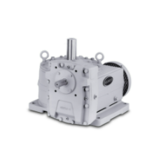 Delroyd Worm Gear 斜齒輪減速機