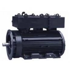 rotor nl 水下電機(jī)IP68系列