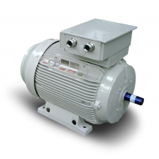 FIMET 粉塵和氣體 ATEX 電機系列