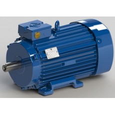VEM 交流電機K21R100LX4 3.0kW 4*系列