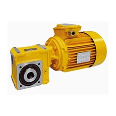 LEROY SOMER 帶蝸輪的減速電機21 區系列