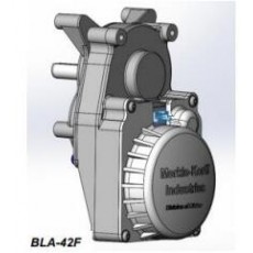 Merkle-Korff 平行軸減速電機BLA-42F系列