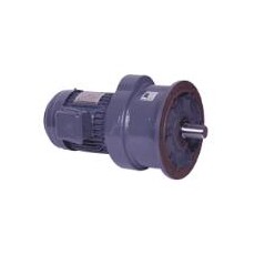 CPG 立式附三相鑄鐵(剎車)馬達(dá)重型減速機(jī)CVW..S系列