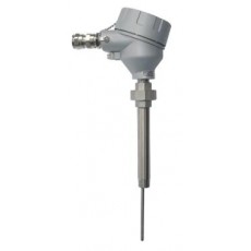 Thermo Est 帶或不帶熱套管的過程傳感器系列