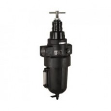 Thompson Valves 過濾減壓閥B17系列