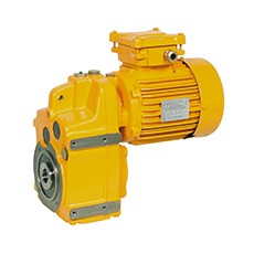 LEROY SOMER 斜齒輪減速電機21 區系列