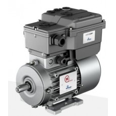MOTOVARIO 變頻電機DV系列