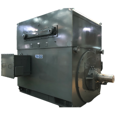 TECO 全密型水冷式馬達(dá)(TEWAC)系列