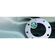 James Walker 墊片Fluolion 700系列