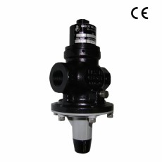 GASCAT 自動截止閥G10F系列