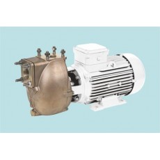 LIVERANI 自吸離心電泵AML系列