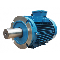UNIVERSAL MOTORS 電動機自定義執行系列