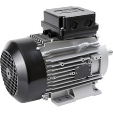 ATB MOTORS 低壓電機NEMA電機系列