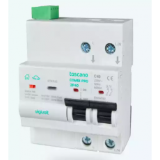 vigivolt 過壓和欠壓保護器COMBI-PRO-2P
