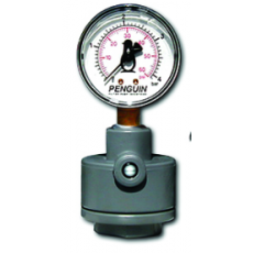 FILTER PUMP 塑料壓力表系列