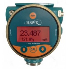 HAWK 環路現場指示器 (HLI) 系列